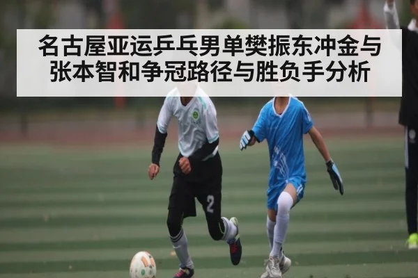 名古屋亚运乒乓男单樊振东冲金与张本智和争冠路径与胜负手分析 - kaiyunapp